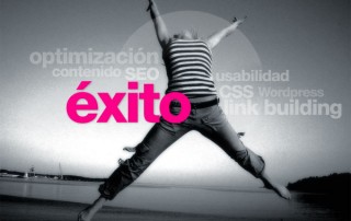 conseguir que mi web triunfe