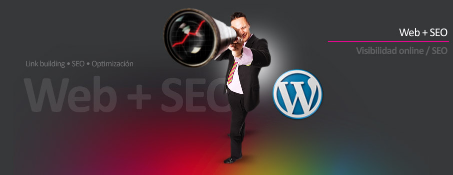 WEB SEO