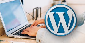 Diseño web WordPress